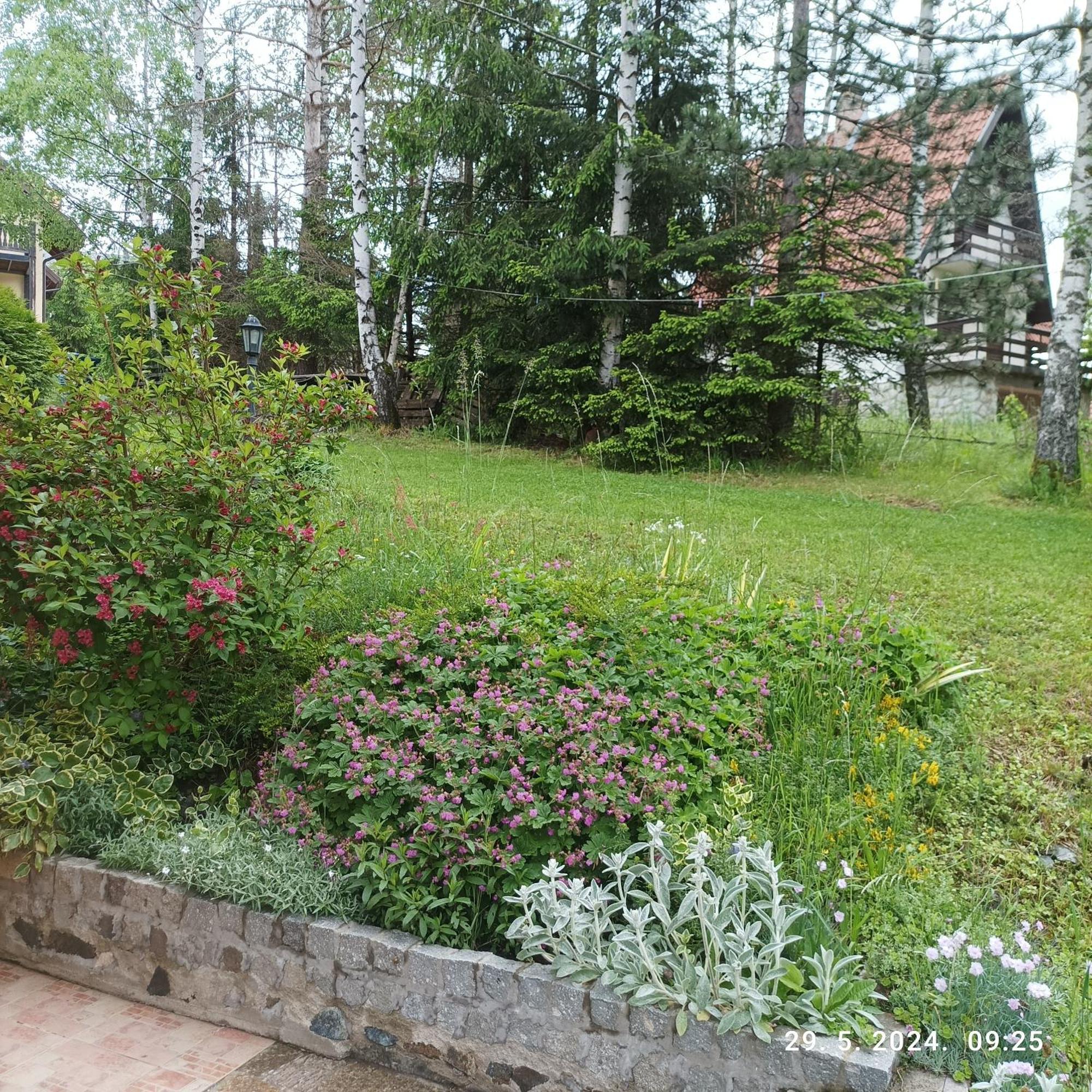 Apartments Dobra Vila ซลาตีบอร์ ภายนอก รูปภาพ